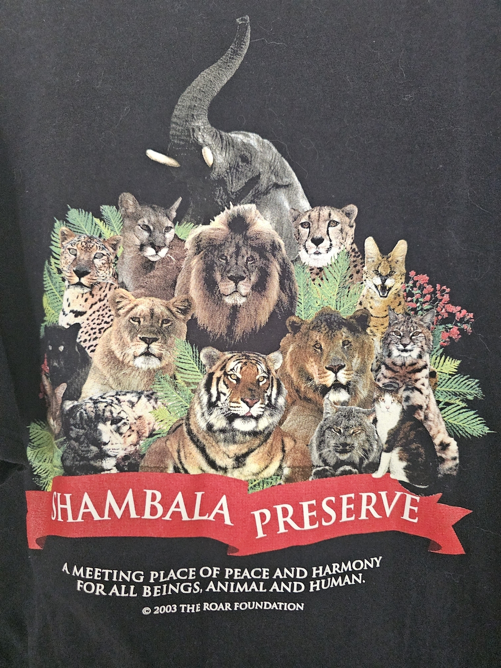 Puma Black Short Sleeve Tee with Colorful Wildlife Graphic